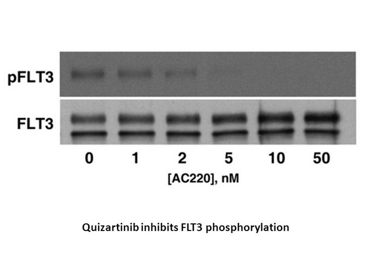 Quizartinib (AC220) Quizartinib (AC220)