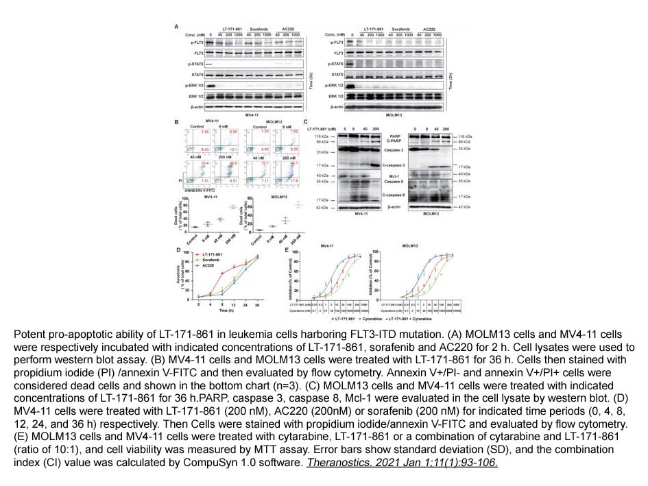 Quizartinib (AC220) Quizartinib (AC220)