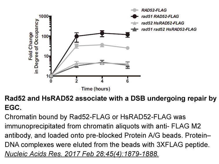 3X FLAG Peptide