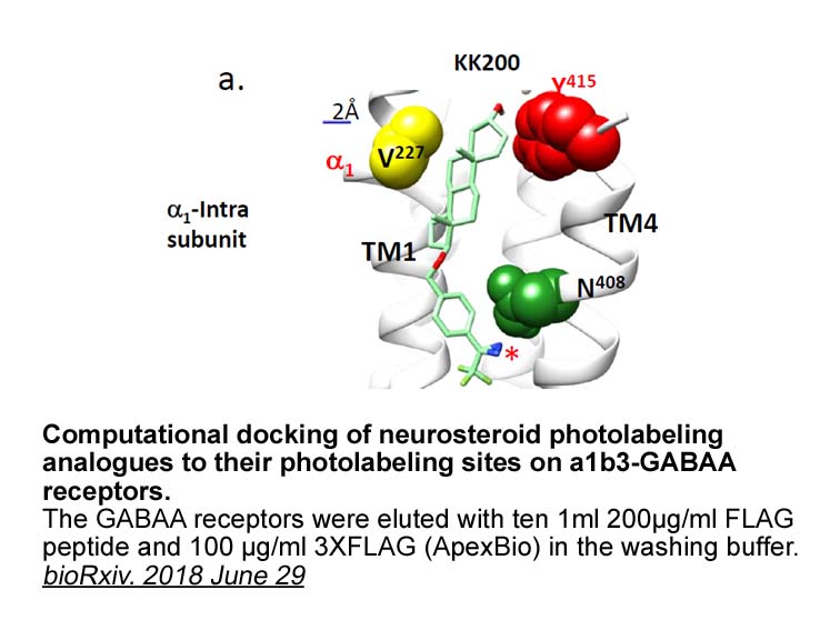 DYKDDDDK tag Peptide