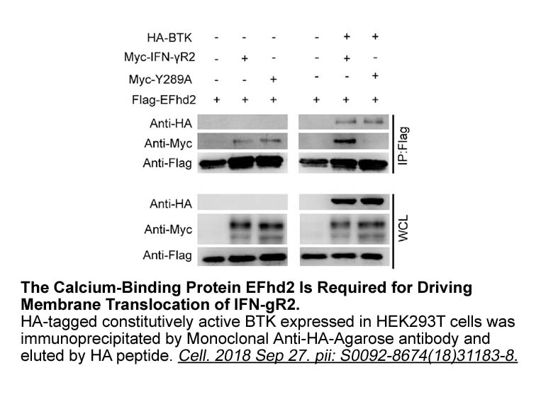 Influenza Hemagglutinin (HA) Peptide