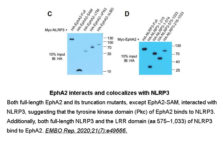 Influenza Hemagglutinin (HA) Peptide Influenza Hemagglutinin (HA) Peptide