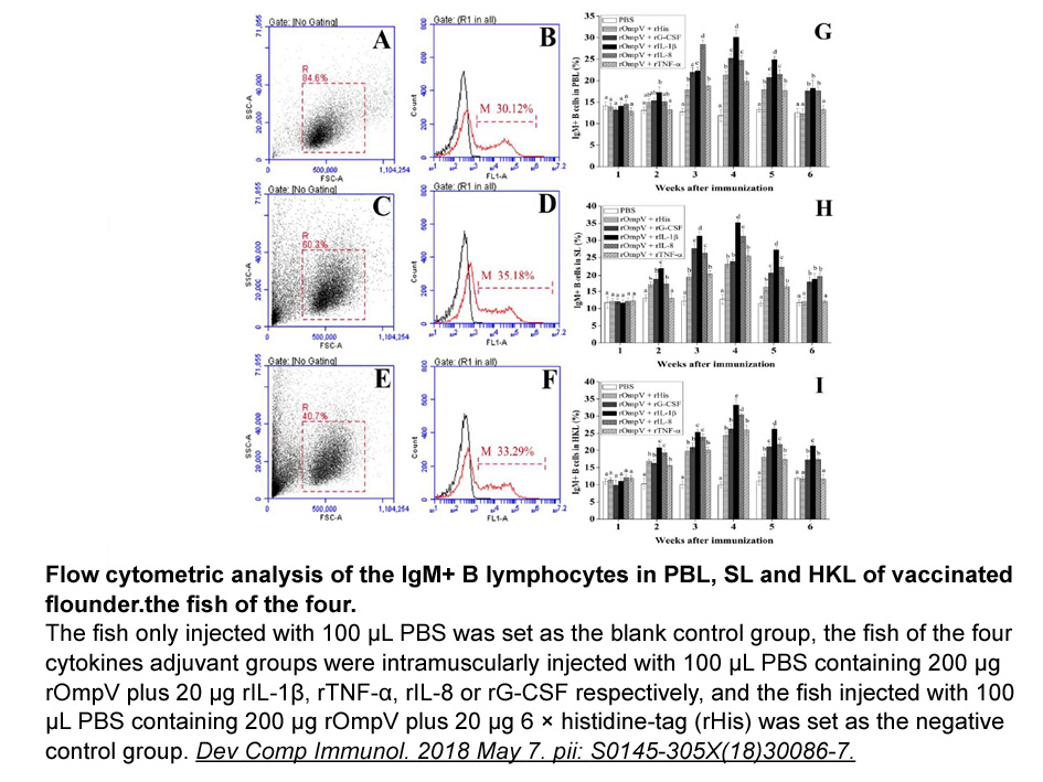 Hexa His tag peptide