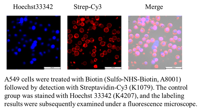 Sulfo-NHS-Biotin Sulfo-NHS-Biotin