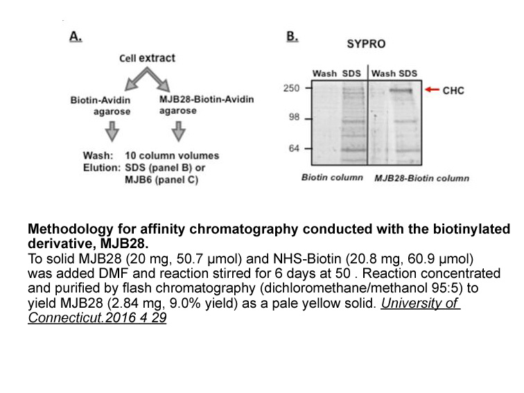 NHS-Biotin NHS-Biotin