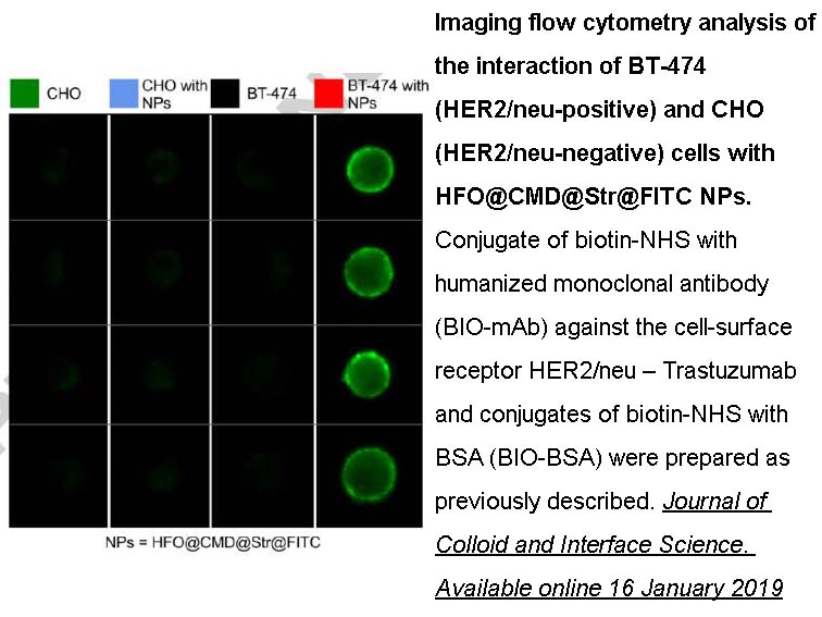 NHS-Biotin NHS-Biotin