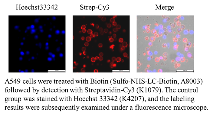 Sulfo-NHS-LC-Biotin Sulfo-NHS-LC-Biotin