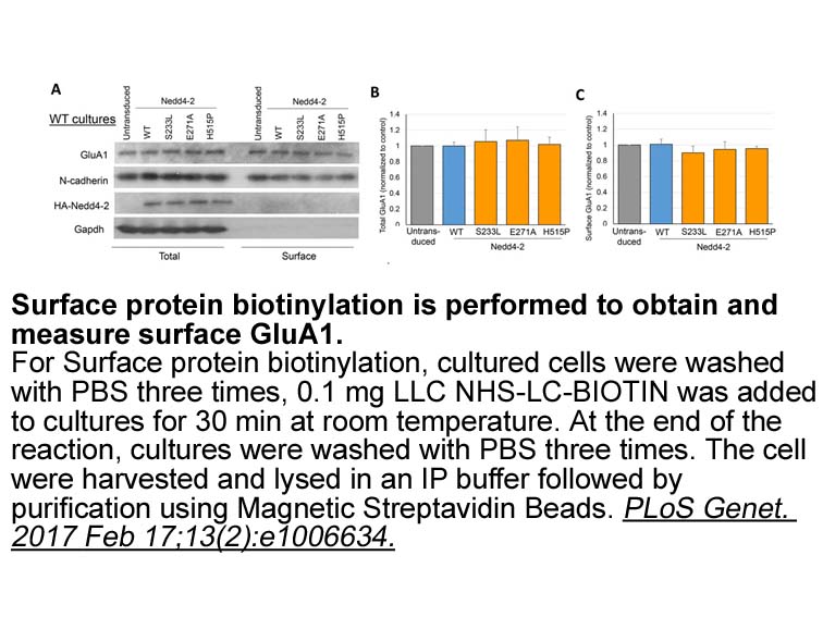 NHS-LC-Biotin NHS-LC-Biotin