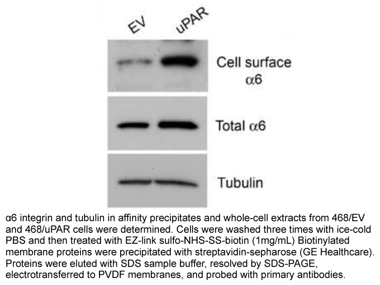 Sulfo-NHS-SS-Biotin Sulfo-NHS-SS-Biotin