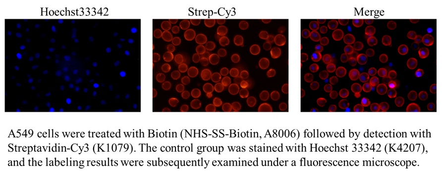 NHS-SS-Biotin NHS-SS-Biotin