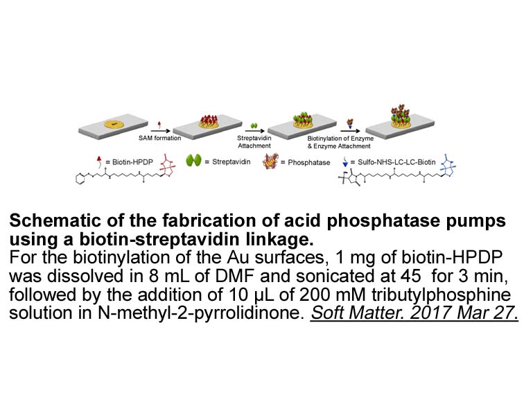 Biotin-HPDP Biotin-HPDP