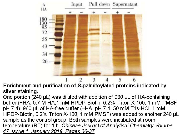 Biotin-HPDP Biotin-HPDP