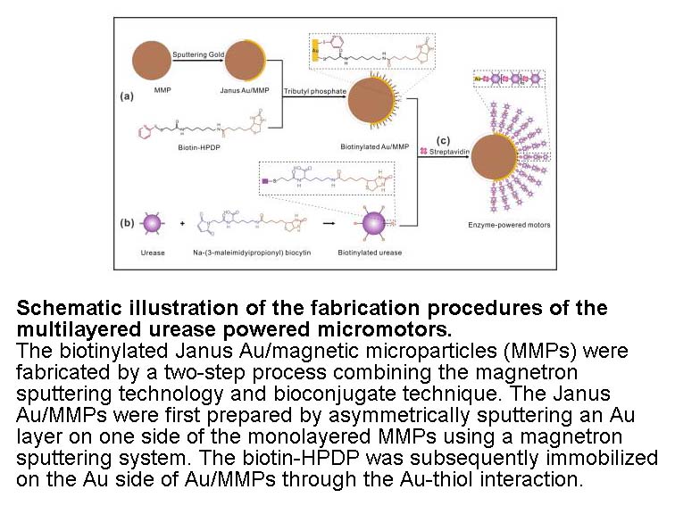 Biotin-HPDP