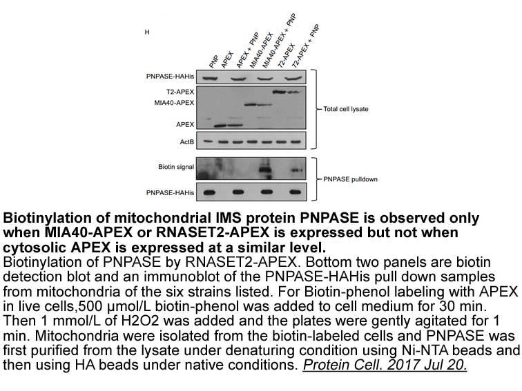 Biotin-tyramide Biotin-tyramide