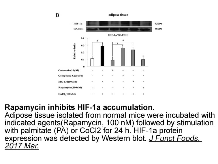 Rapamycin Rapamycin