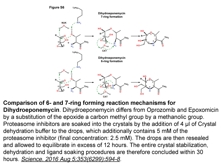 Dihydroeponemycin Dihydroeponemycin