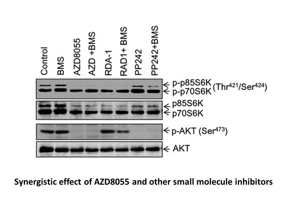 AZD8055