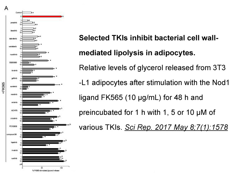 Lapatinib