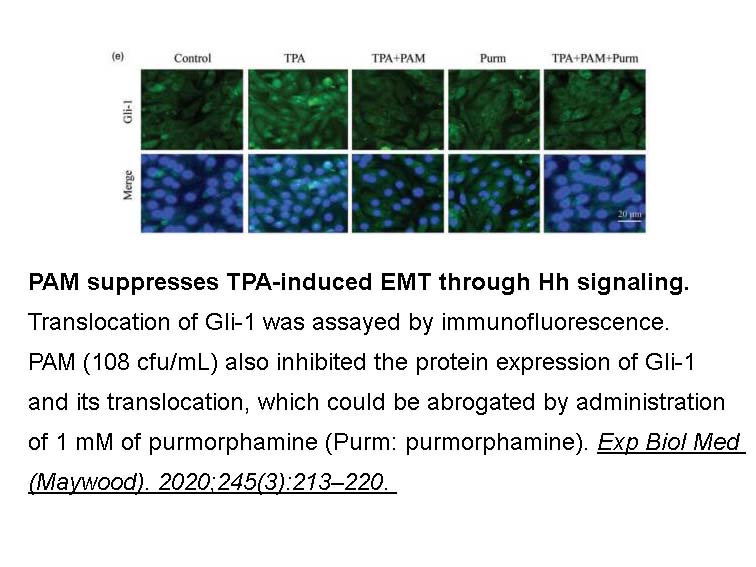 Purmorphamine Purmorphamine