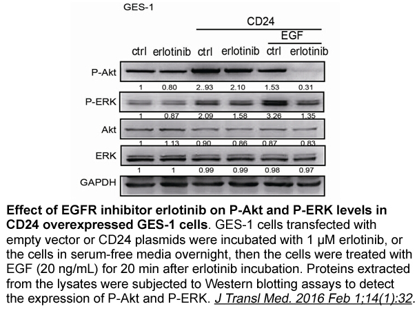 Erlotinib Hydrochloride Erlotinib Hydrochloride