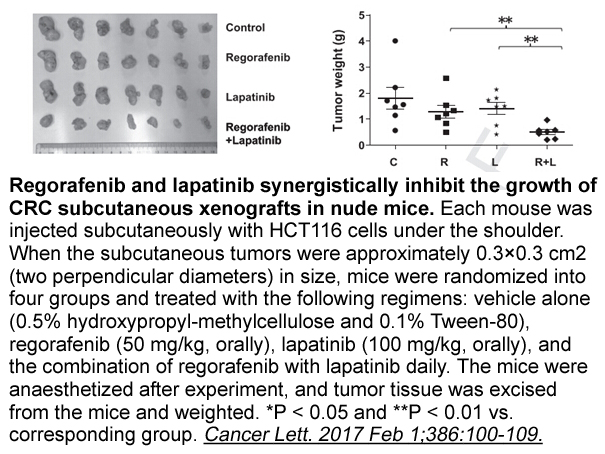 Regorafenib Regorafenib