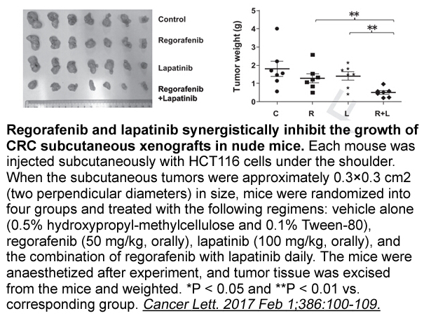 Regorafenib