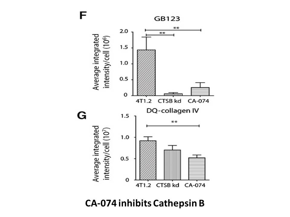 CA-074 Me