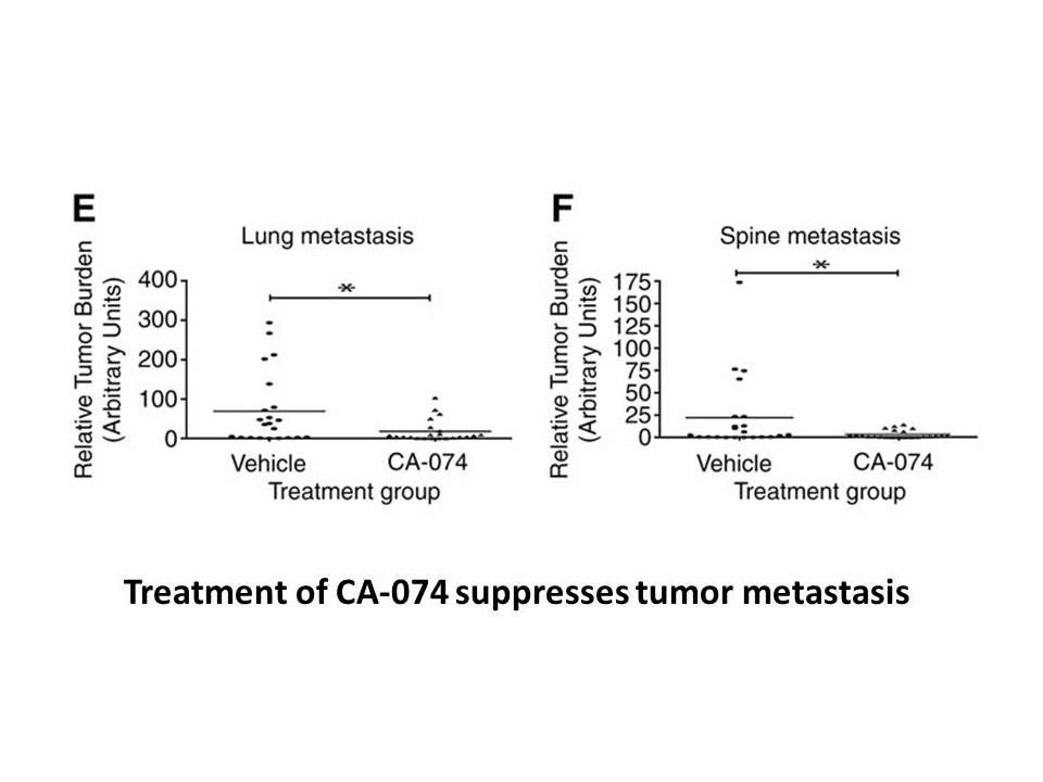 CA-074 Me