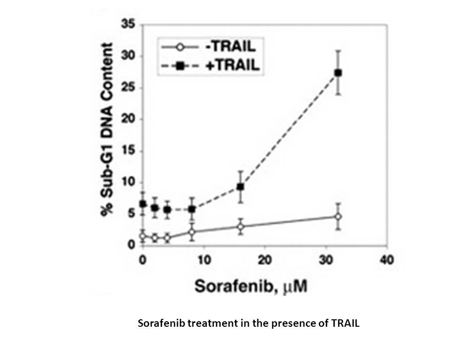 YO-01027 (Dibenzazepine, DBZ) Sorafenib Tosylate