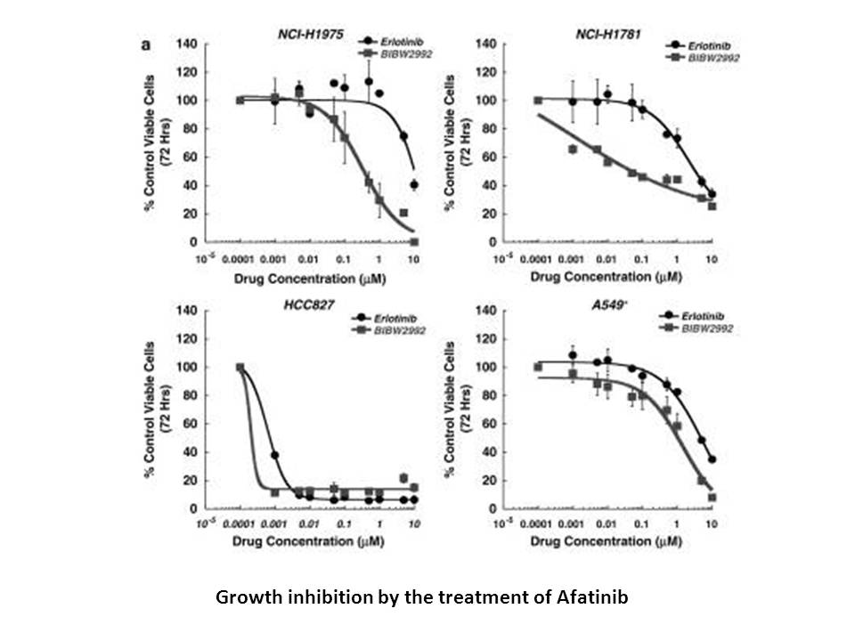 Afatinib(BIBW2992) Afatinib(BIBW2992)
