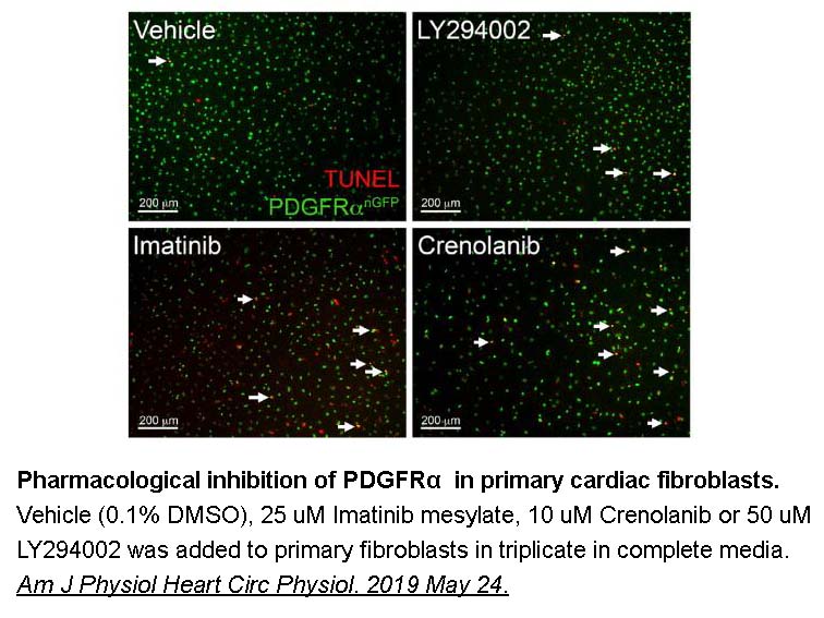 Crenolanib (CP-868596)