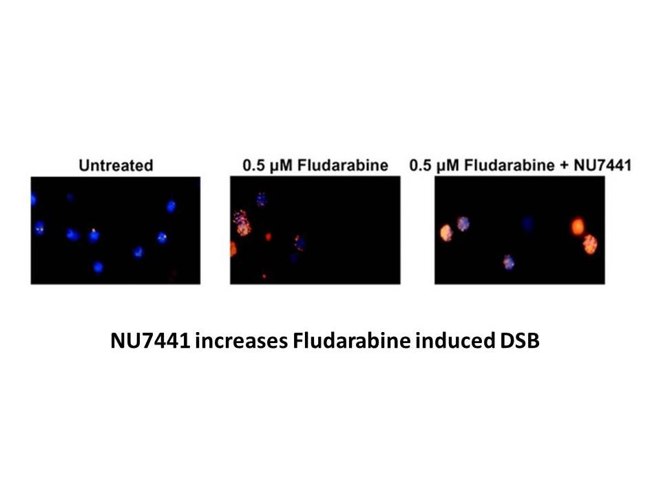 NU7441 (KU-57788) NU7441 (KU-57788)