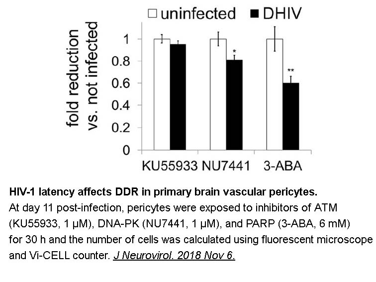 APExBIO - NU7441 (KU-57788)|DNA-PK inhibitor|CAS# 503468-95-9 APExBIO - NU7441 (KU-57788)|DNA-PK inhibitor|CAS# 503468-95-9