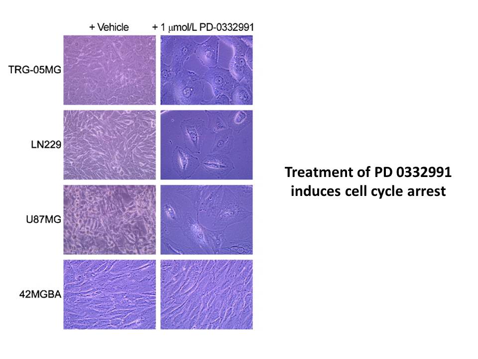 PD 0332991 PD 0332991
