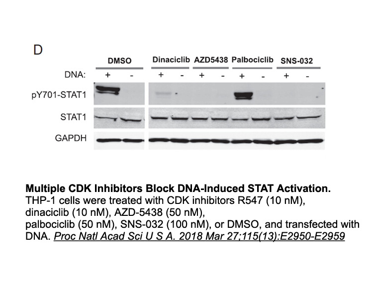 AZD-5438