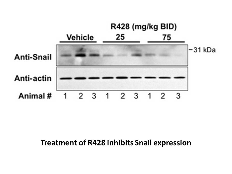 R428