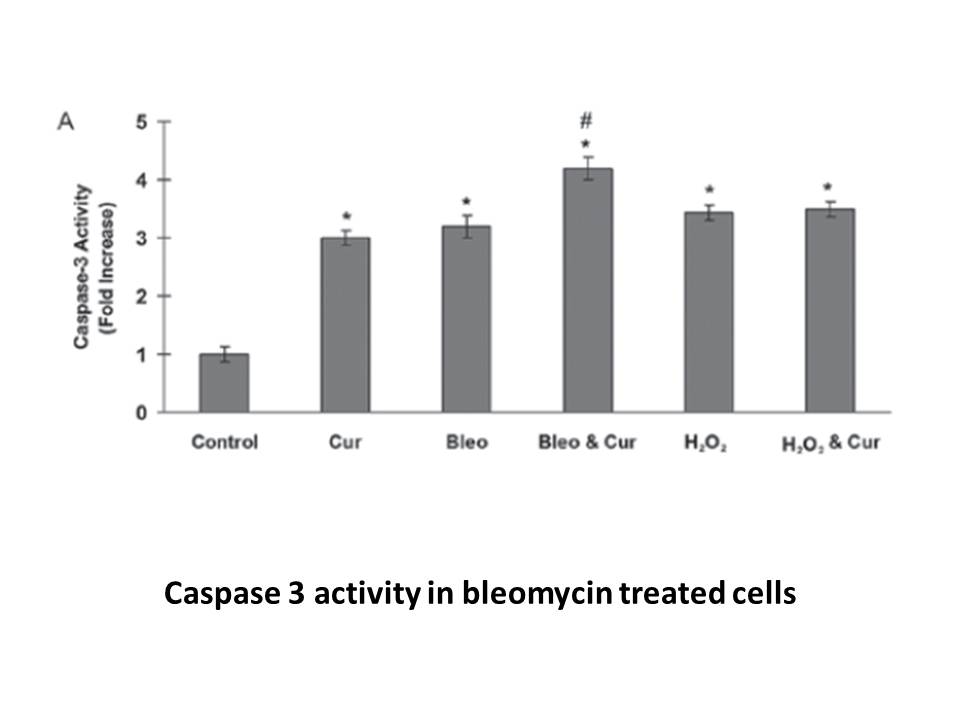 Bleomycin Sulfate