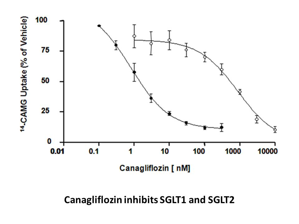 Canagliflozin Canagliflozin