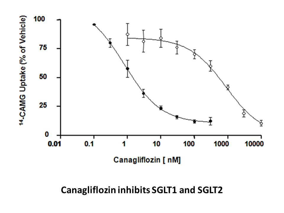 Canagliflozin