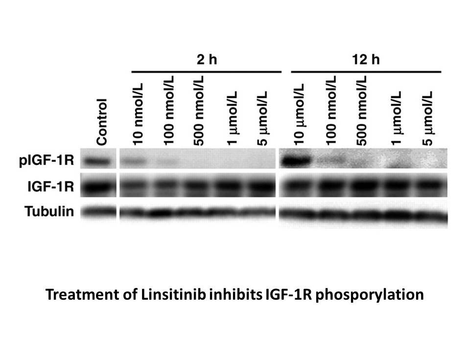 Linsitinib Linsitinib