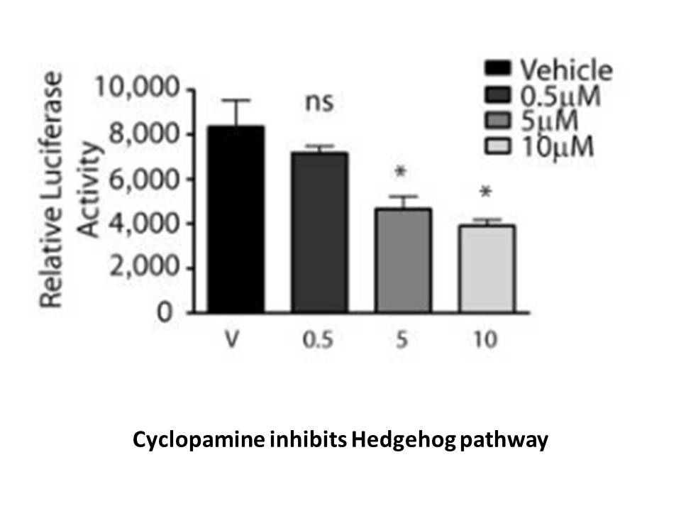 Cyclopamine Cyclopamine