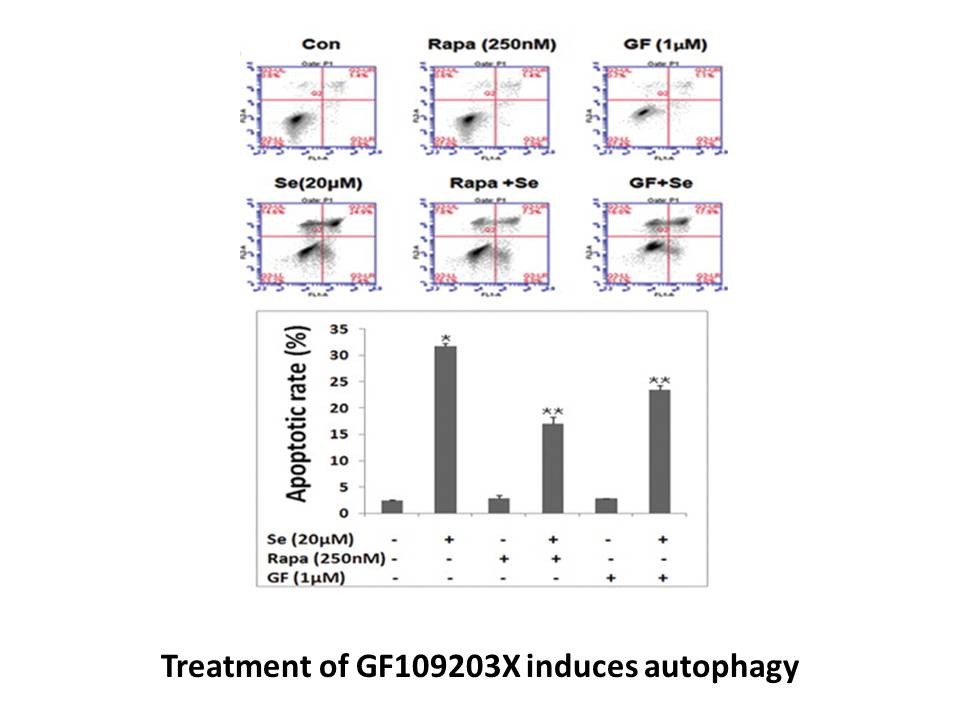 GF 109203X GF 109203X