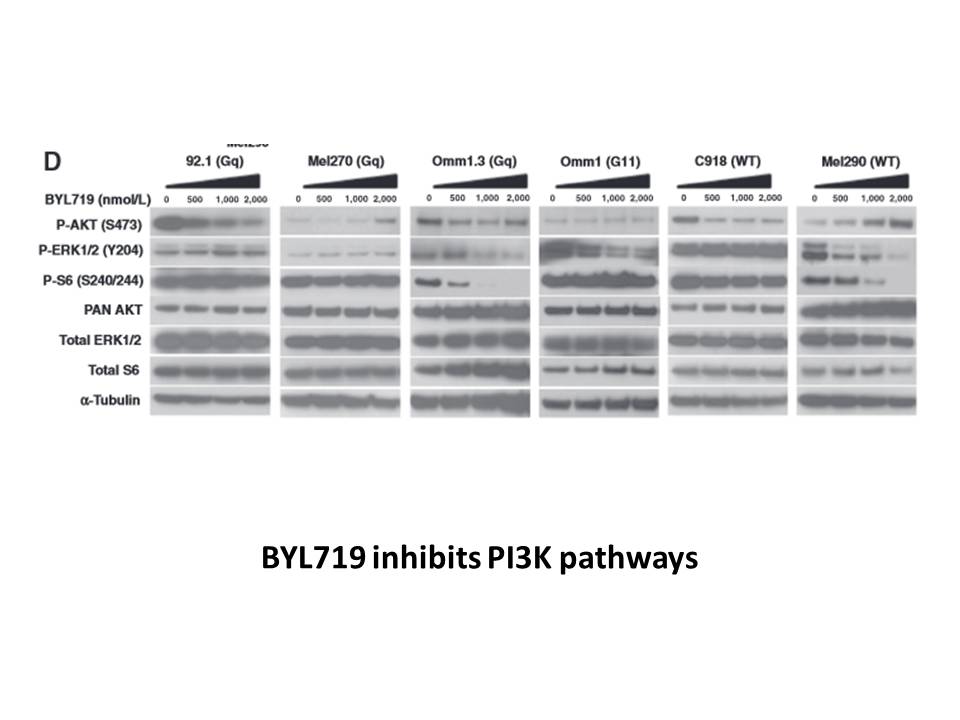 BYL-719 BYL-719