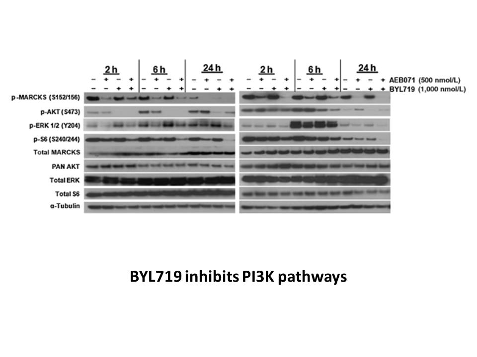 BYL-719 BYL-719
