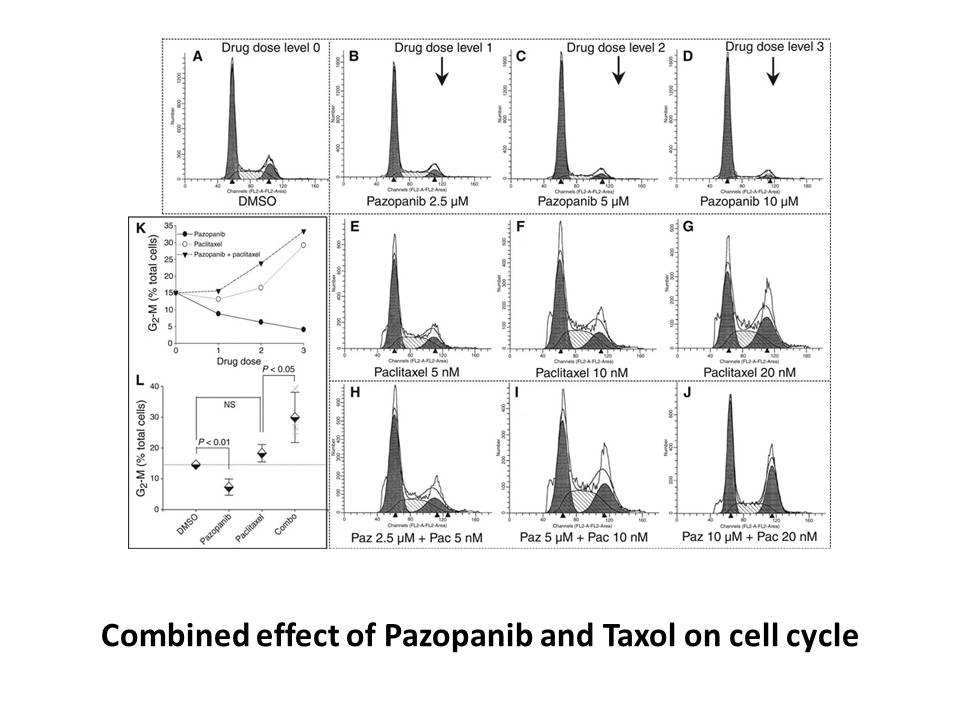 Pazopanib Hydrochloride Pazopanib Hydrochloride