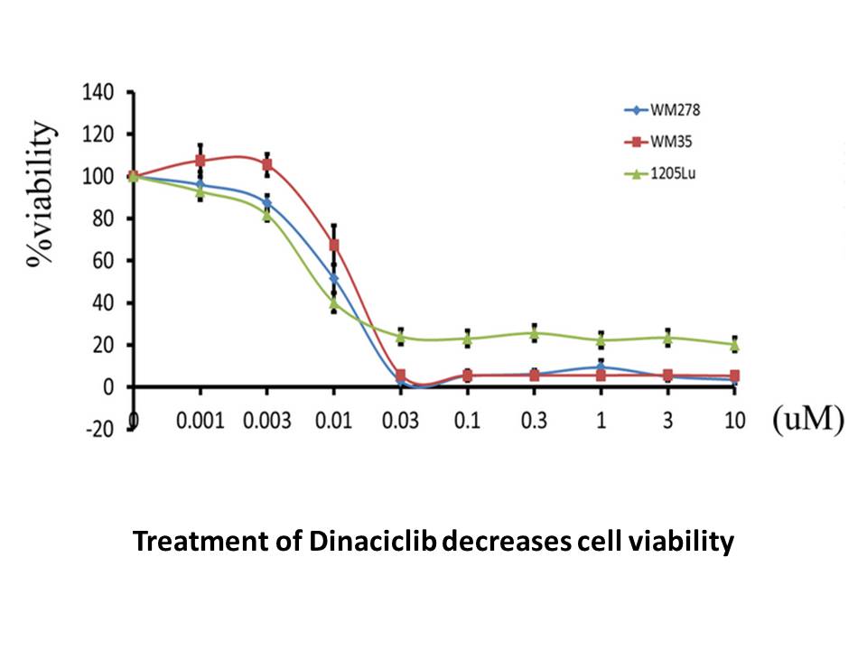 Dinaciclib (SCH727965) Dinaciclib (SCH727965)