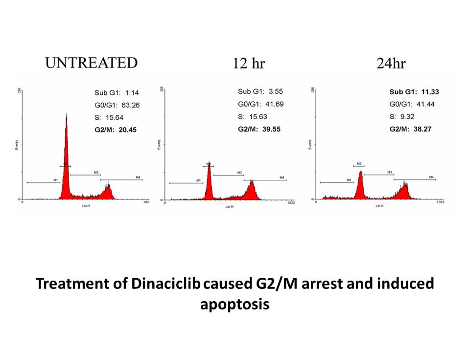 Dinaciclib (SCH727965) Dinaciclib (SCH727965)