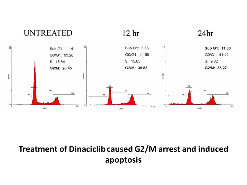 Dinaciclib (SCH727965)