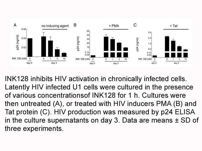 INK 128 (MLN0128)