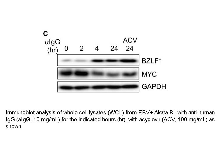 Acyclovir Acyclovir